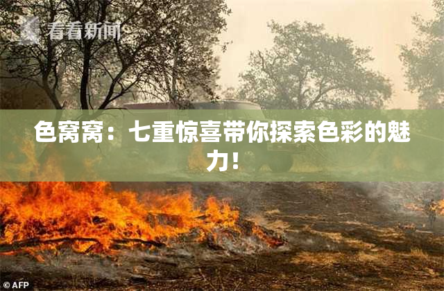 色窝窝：七重惊喜带你探索色彩的魅力！