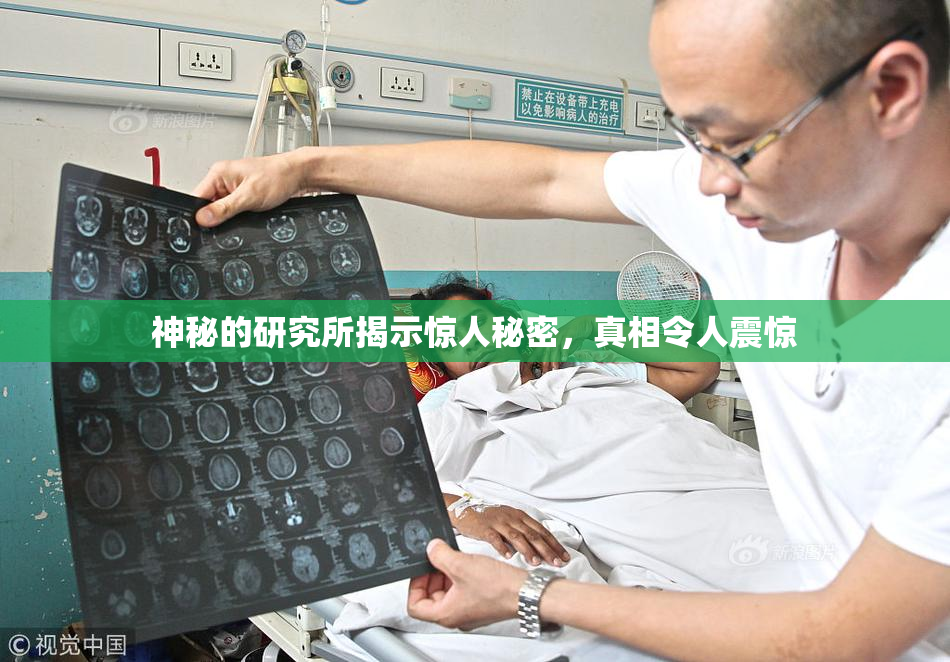 神秘的研究所揭示惊人秘密，真相令人震惊