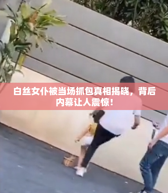 白丝女仆被当场抓包真相揭晓，背后内幕让人震惊！