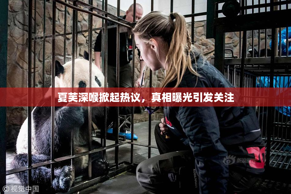 夏芙深喉掀起热议，真相曝光引发关注