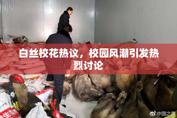 白丝校花热议，校园风潮引发热烈讨论