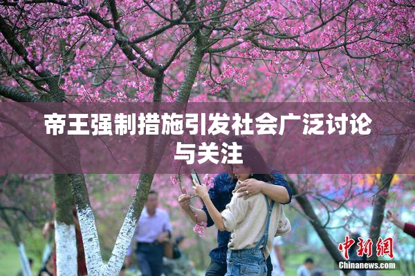 帝王强制措施引发社会广泛讨论与关注