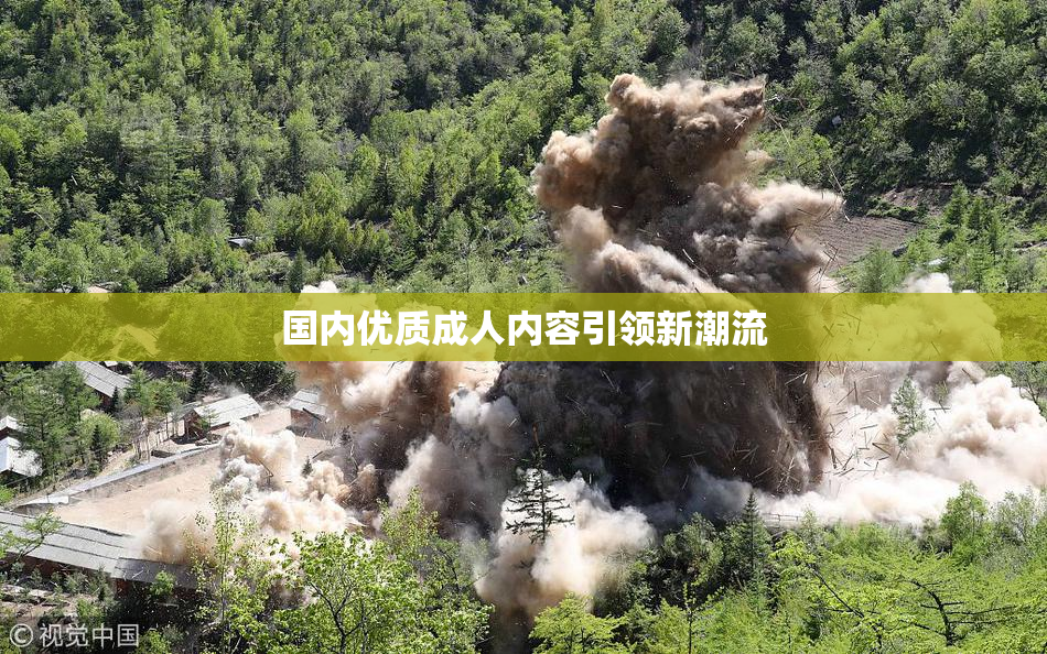 国内优质成人内容引领新潮流