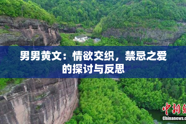 男男黄文：情欲交织，禁忌之爱的探讨与反思