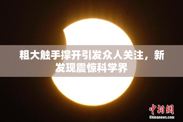 粗大触手撑开引发众人关注，新发现震惊科学界