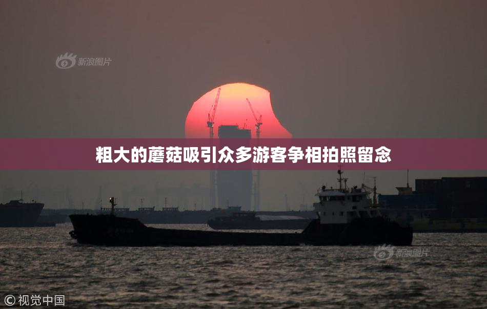粗大的蘑菇吸引众多游客争相拍照留念