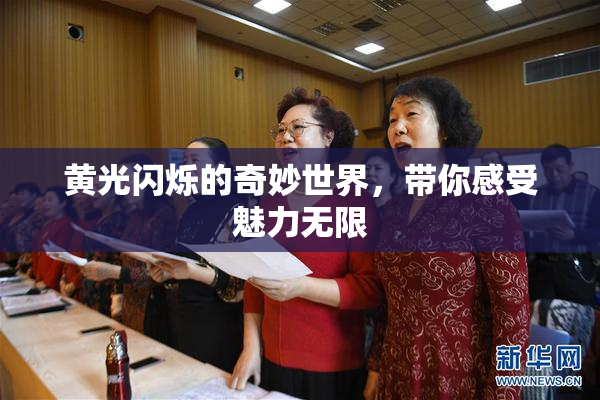 黄光闪烁的奇妙世界，带你感受魅力无限