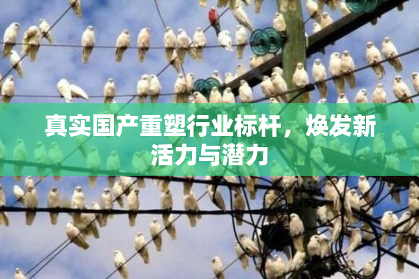真实国产重塑行业标杆，焕发新活力与潜力