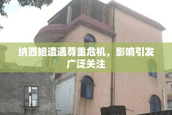纳西妲遭遇尊重危机，影响引发广泛关注