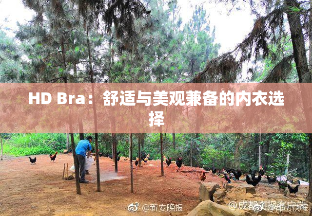 HD Bra：舒适与美观兼备的内衣选择