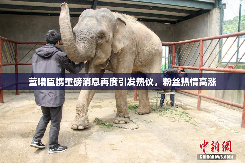 蓝曦臣携重磅消息再度引发热议，粉丝热情高涨