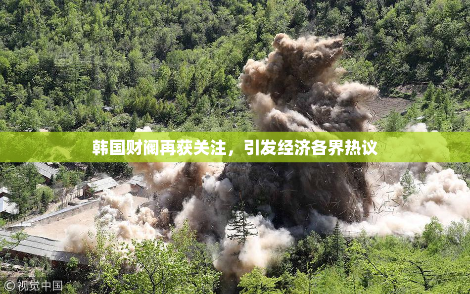 韩国财阀再获关注，引发经济各界热议