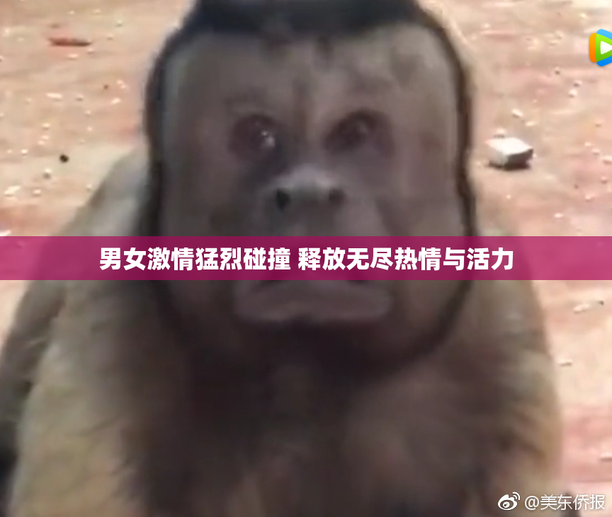 男女激情猛烈碰撞 释放无尽热情与活力