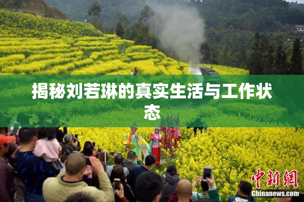揭秘刘若琳的真实生活与工作状态