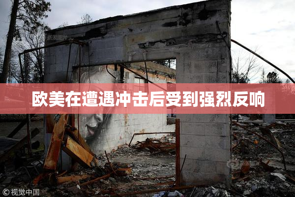 欧美在遭遇冲击后受到强烈反响