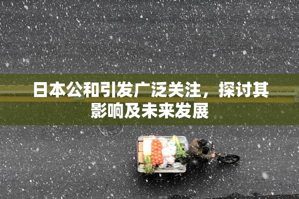 日本公和引发广泛关注，探讨其影响及未来发展