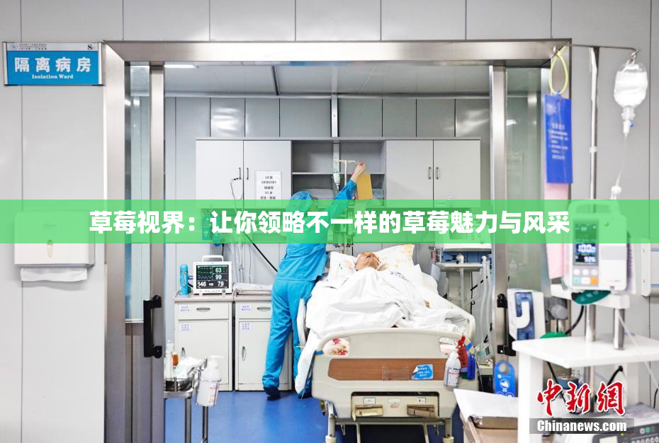 草莓视界：让你领略不一样的草莓魅力与风采