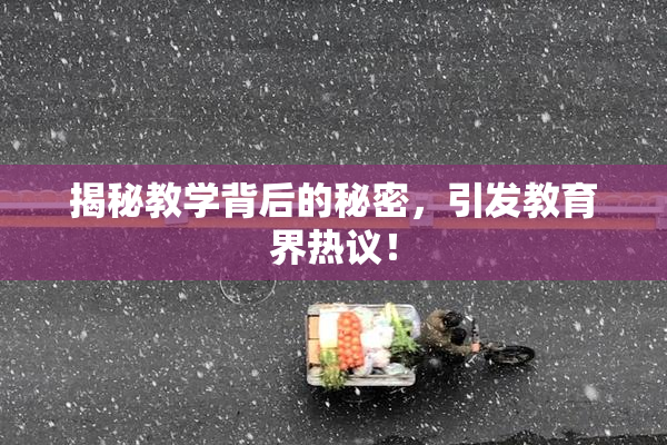 揭秘教学背后的秘密，引发教育界热议！