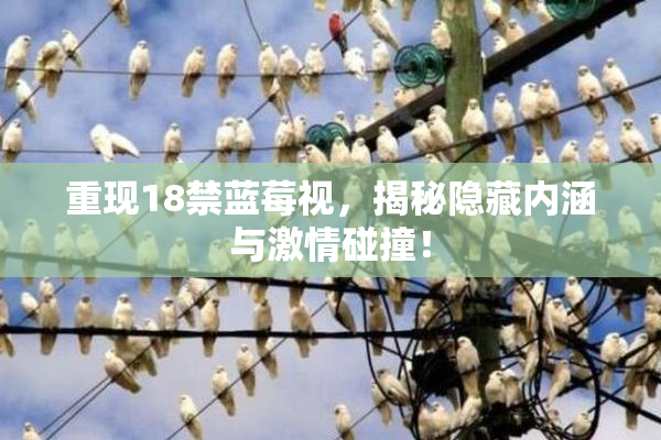 重现18禁蓝莓视，揭秘隐藏内涵与激情碰撞！