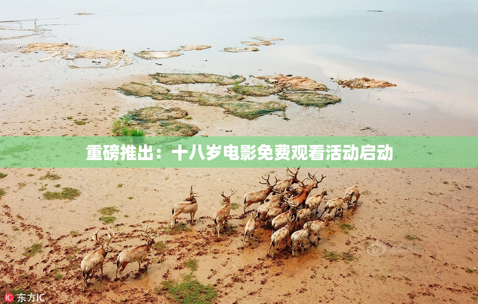 重磅推出：十八岁电影免费观看活动启动