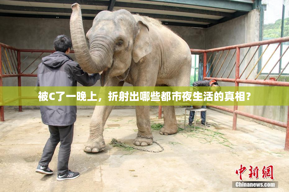被C了一晚上，折射出哪些都市夜生活的真相？
