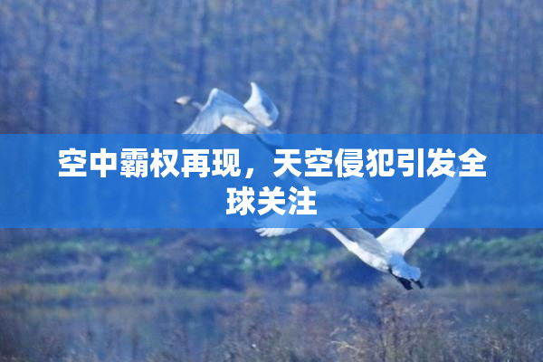 空中霸权再现，天空侵犯引发全球关注