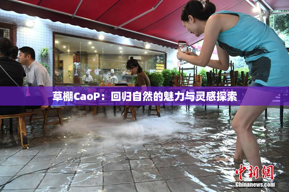 草棚CaoP：回归自然的魅力与灵感探索