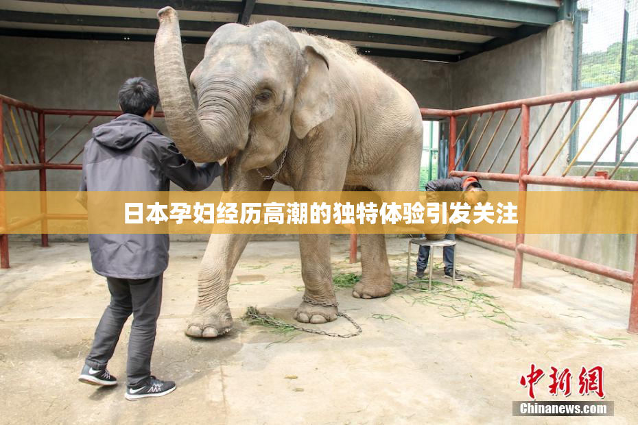 日本孕妇经历高潮的独特体验引发关注