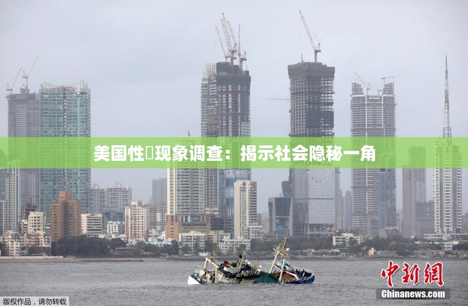 美国性婬现象调查：揭示社会隐秘一角