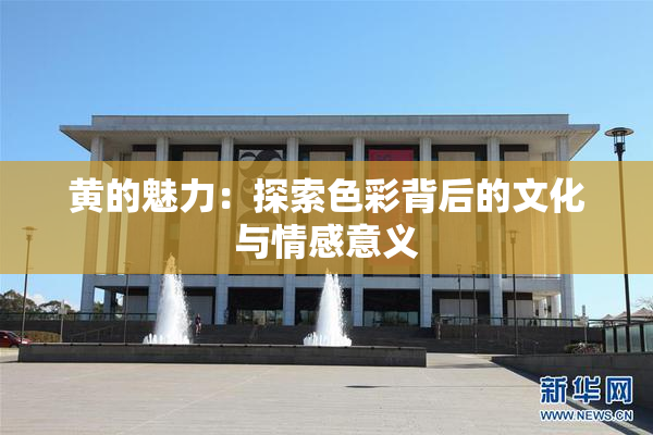 黄的魅力：探索色彩背后的文化与情感意义