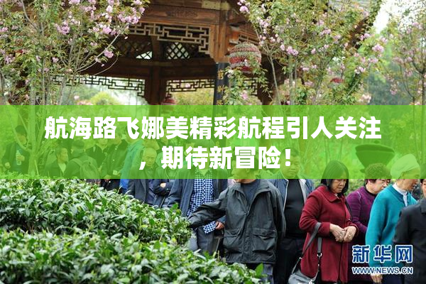 航海路飞娜美精彩航程引人关注，期待新冒险！