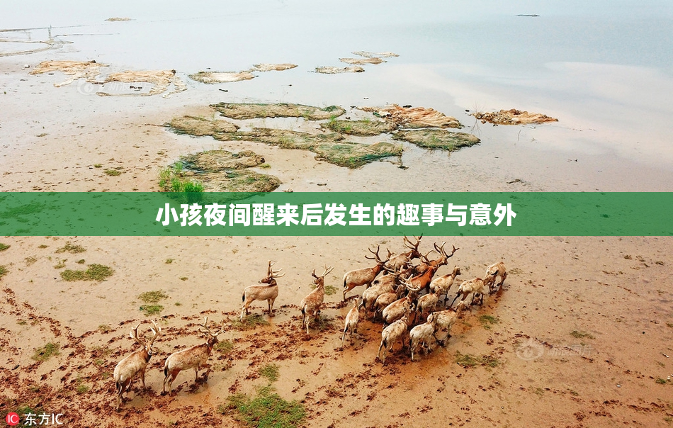 小孩夜间醒来后发生的趣事与意外