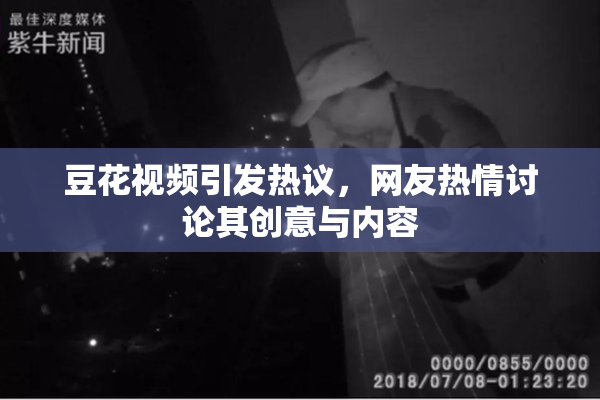豆花视频引发热议，网友热情讨论其创意与内容