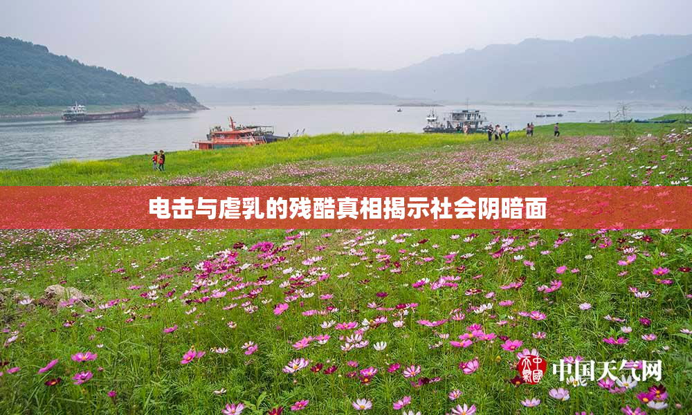 电击与虐乳的残酷真相揭示社会阴暗面