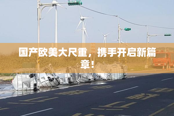 国产欧美大尺重，携手开启新篇章！