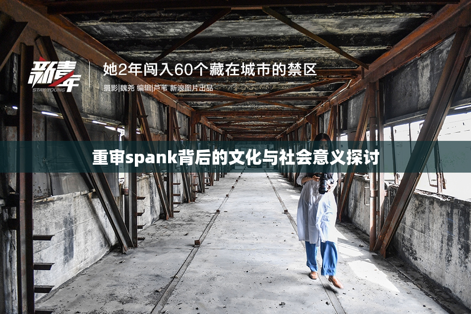 重审spank背后的文化与社会意义探讨