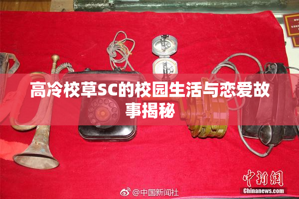 高冷校草SC的校园生活与恋爱故事揭秘