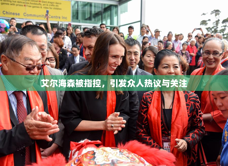 艾尔海森被指控，引发众人热议与关注