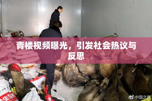 青楼视频曝光，引发社会热议与反思