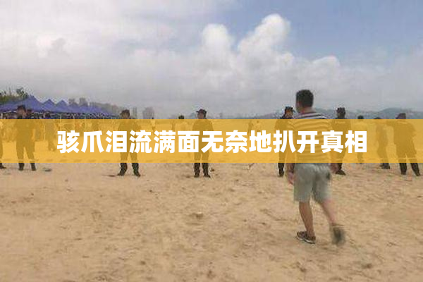 骇爪泪流满面无奈地扒开真相