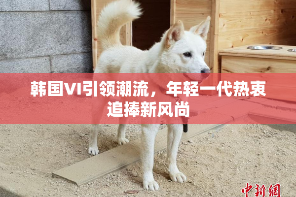 韩国VI引领潮流，年轻一代热衷追捧新风尚