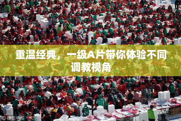 重温经典，一级A片带你体验不同调教视角