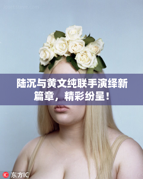 陆沉与黄文纯联手演绎新篇章，精彩纷呈！