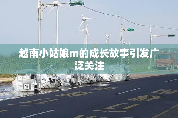 越南小姑娘m的成长故事引发广泛关注