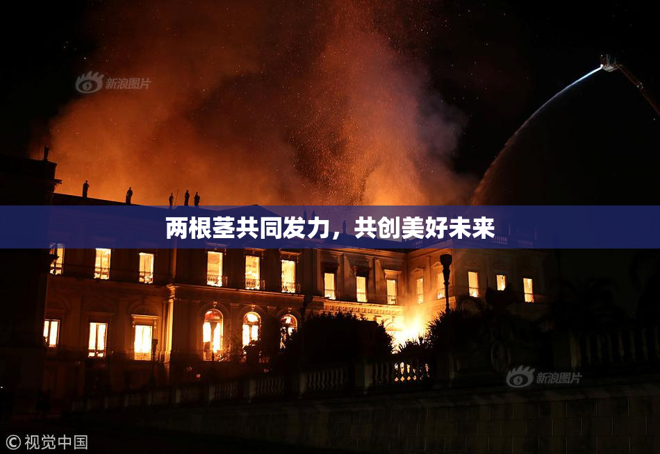 两根茎共同发力，共创美好未来