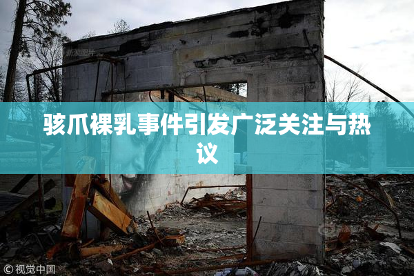 骇爪裸乳事件引发广泛关注与热议