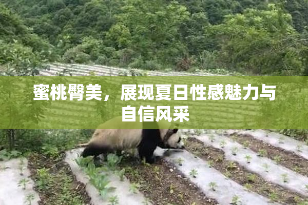 蜜桃臀美，展现夏日性感魅力与自信风采