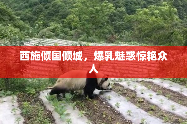 西施倾国倾城，爆乳魅惑惊艳众人