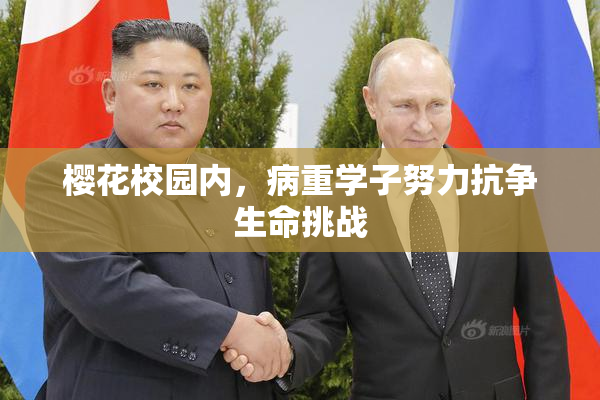 樱花校园内，病重学子努力抗争生命挑战
