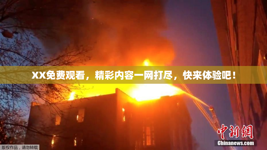 XX免费观看，精彩内容一网打尽，快来体验吧！